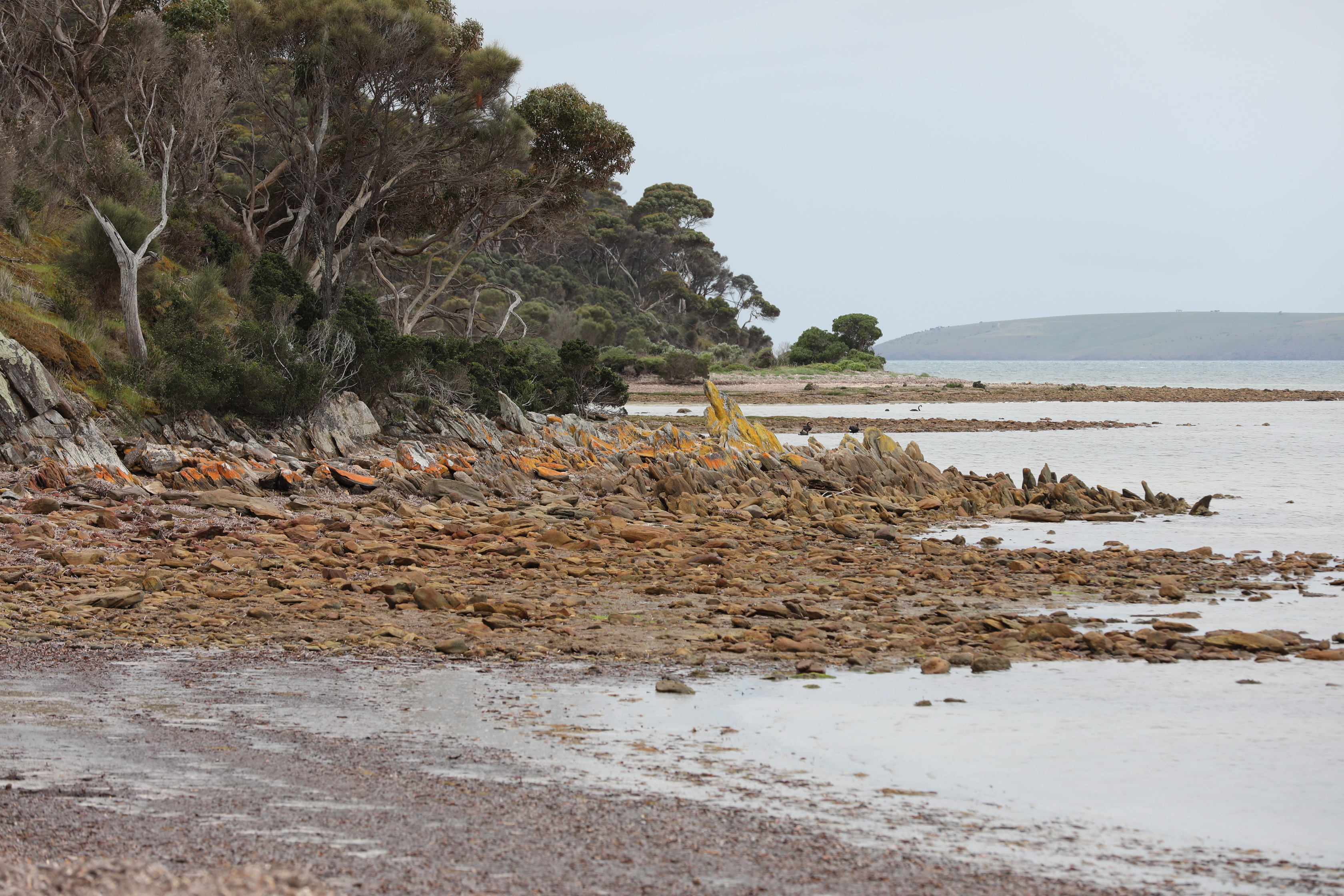 2019 10 06 14 33 48 Canon EOS 5D Mark IV 0013